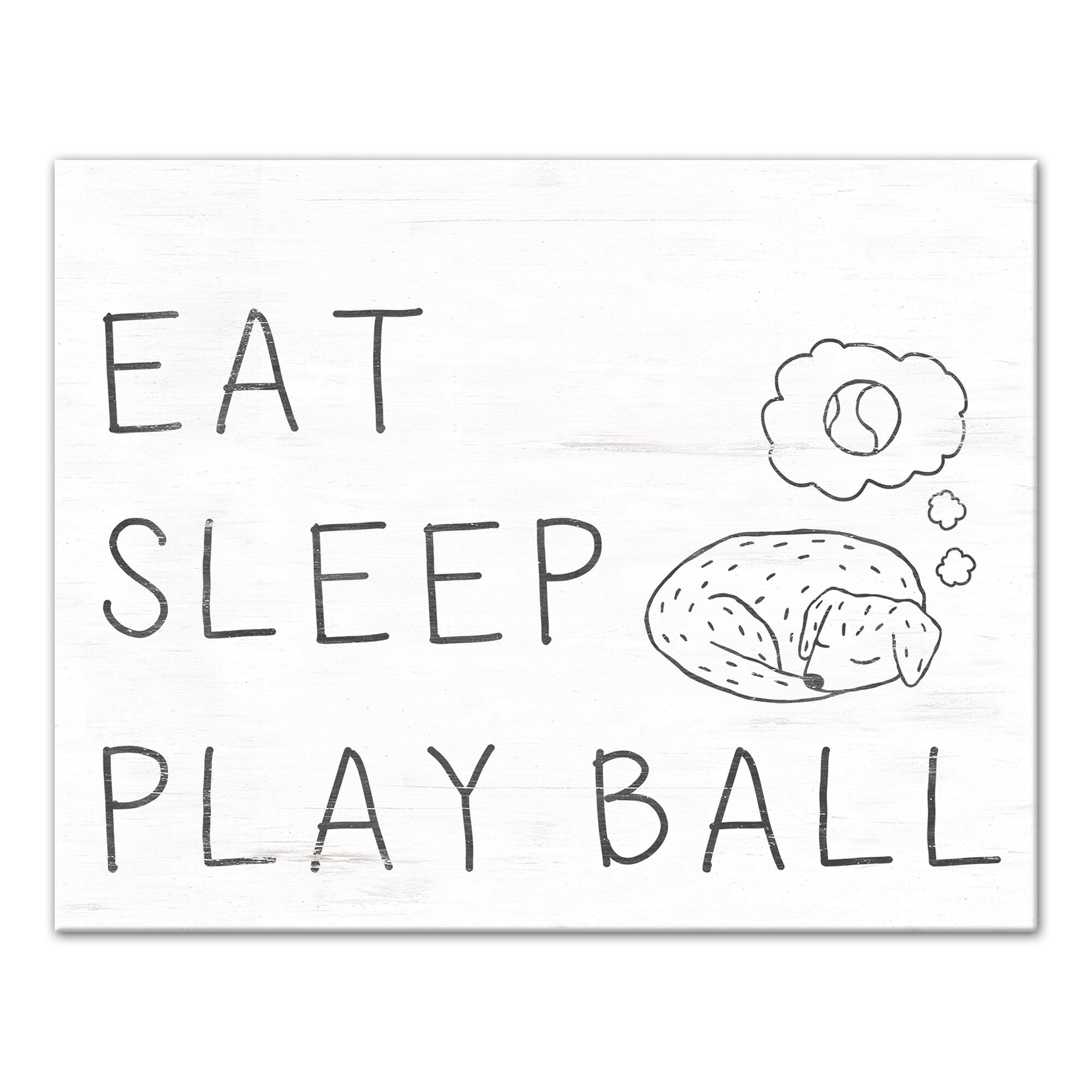 Eat Sleep Play Ball Canvas Wall Art